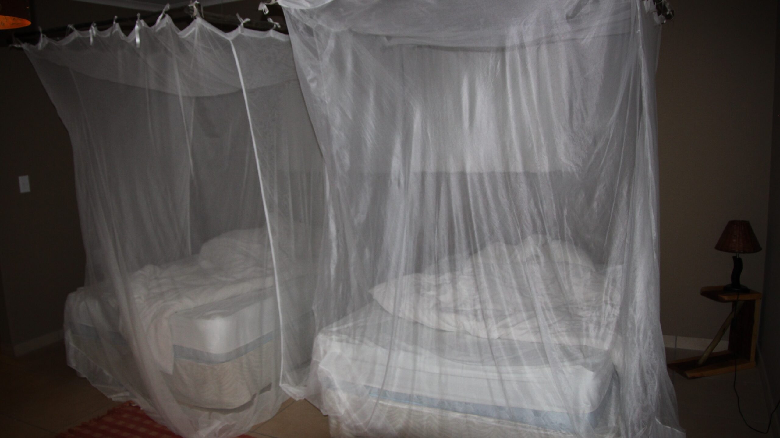 bed with mosquito net 2022 11 16 19 03 36 utc scaled