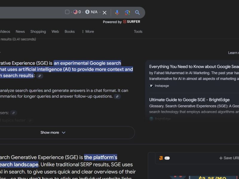 Screen Capture 121 - what is sge - Google Search - www.google.com